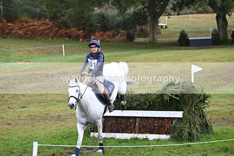 WJ6_1632 - 80cm Cam 1 Time 10:08 to 10:45