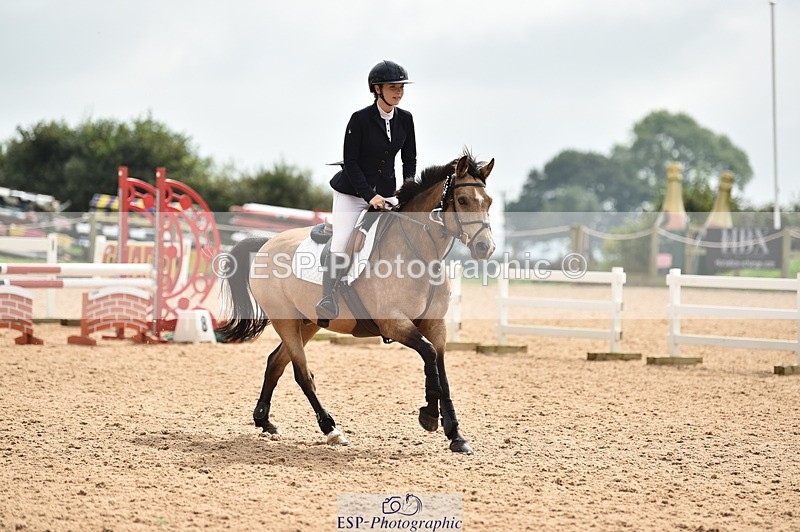 230902A-120838-00950 - Cls 2B Pony Small 80cm