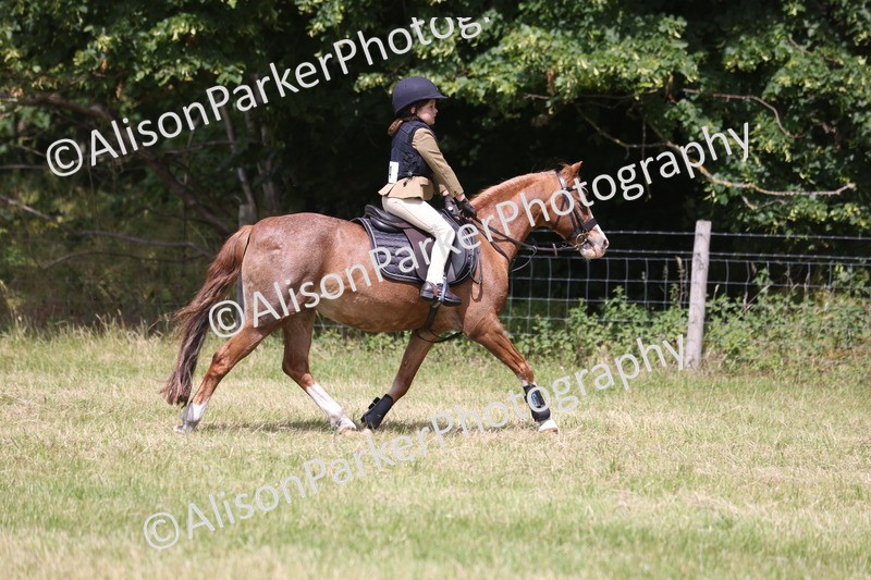 20260614-2015 - Class 21 - Novice Working Hunter Pony