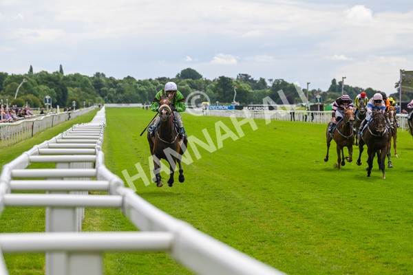 140624-Race 1-Tolstoy-3705 - Race 1 1.50pm Andy Thornton Hospitality Furniture Apprentice Handicap