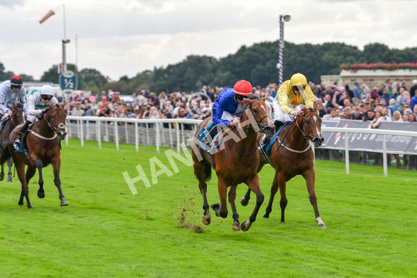 230923-Race 1-Invincible Molly-5867 - Race 1 2.00pm Jigsaw Sports Branding EBF Fillies' Novice Stakes
