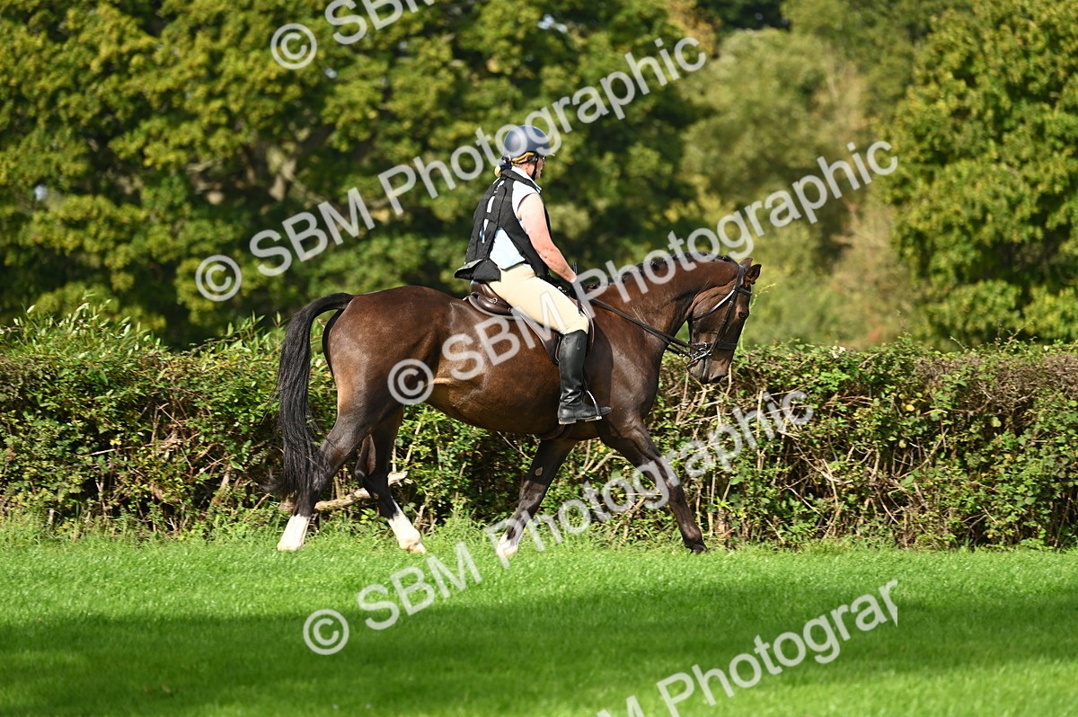 SBM_02018 - S2 - TSR Ridden Horse Showing