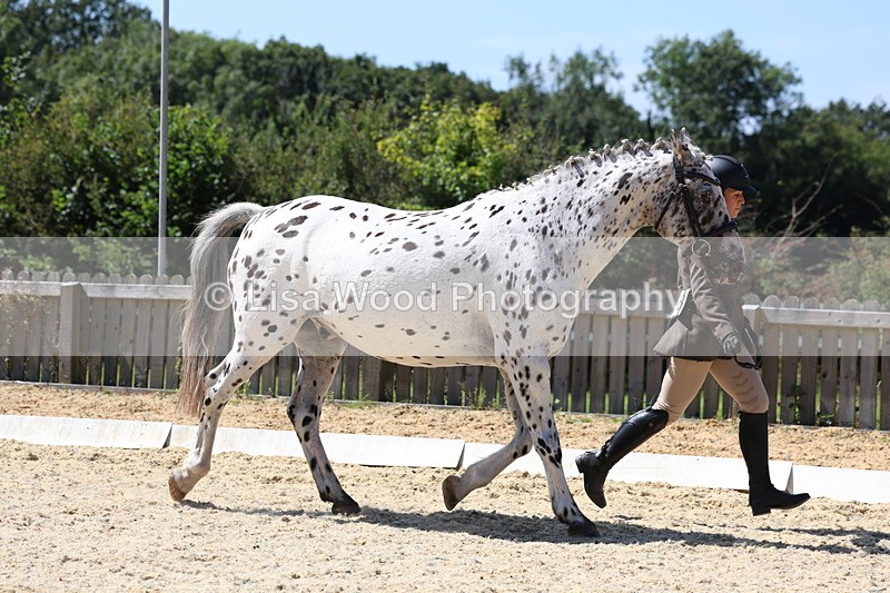 3E7A9411 - Class 29: Veteran In Hand