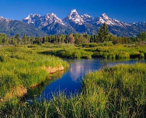 Istock #16701127 - Mountains of North America