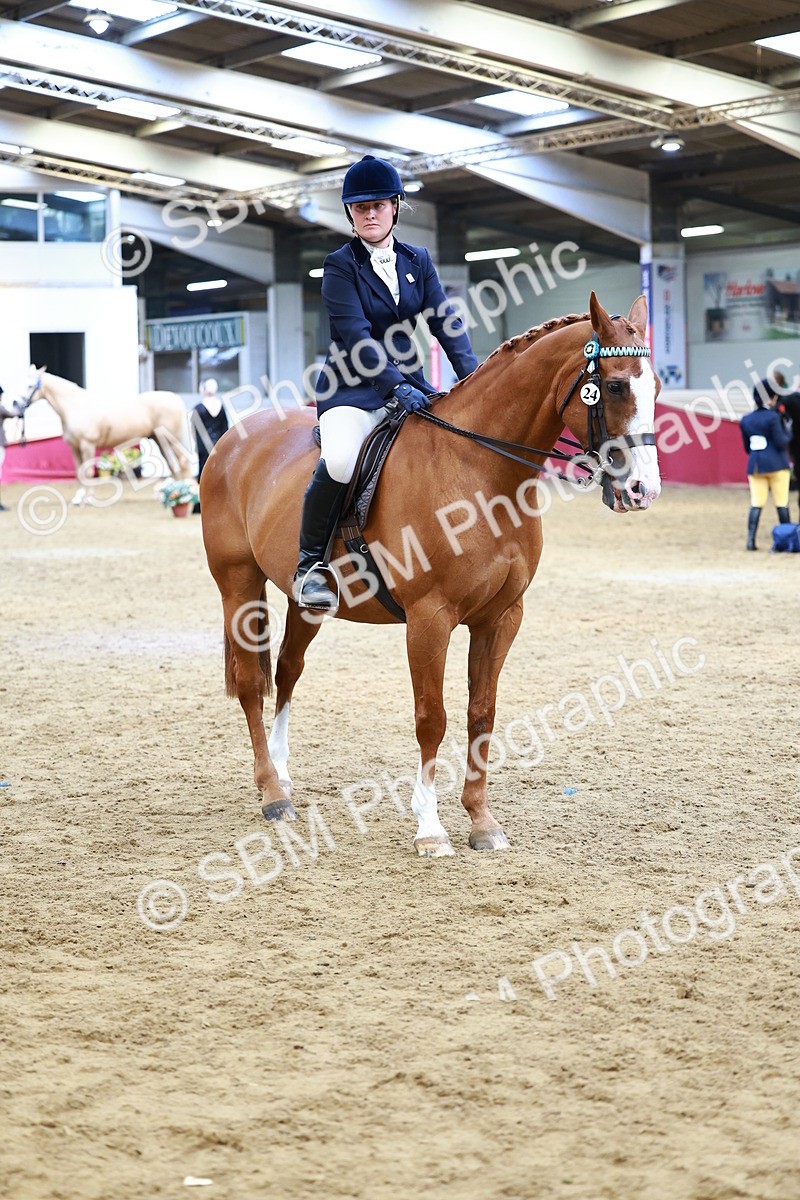 SBM_23820 - Class 905 - Supreme Final - Ridden Veteran