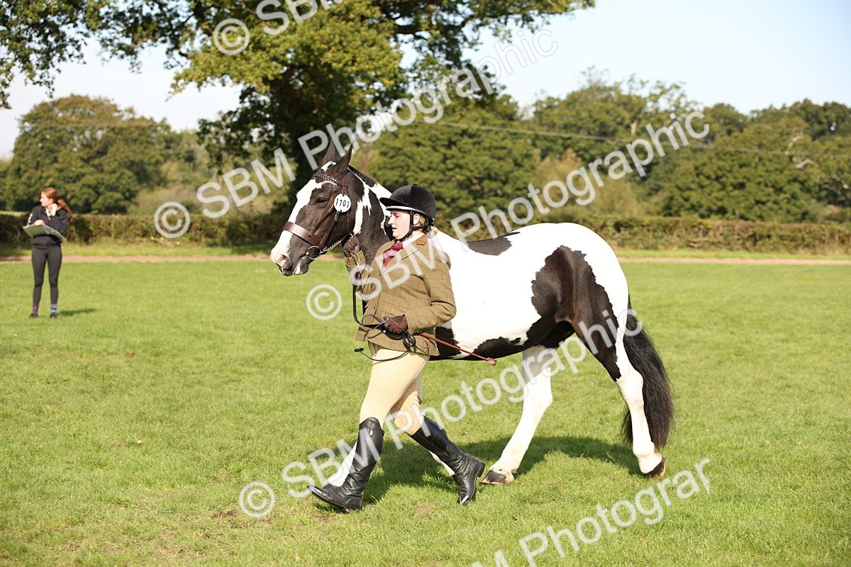 SBM_61209 - S54 - Show Cob In Hand