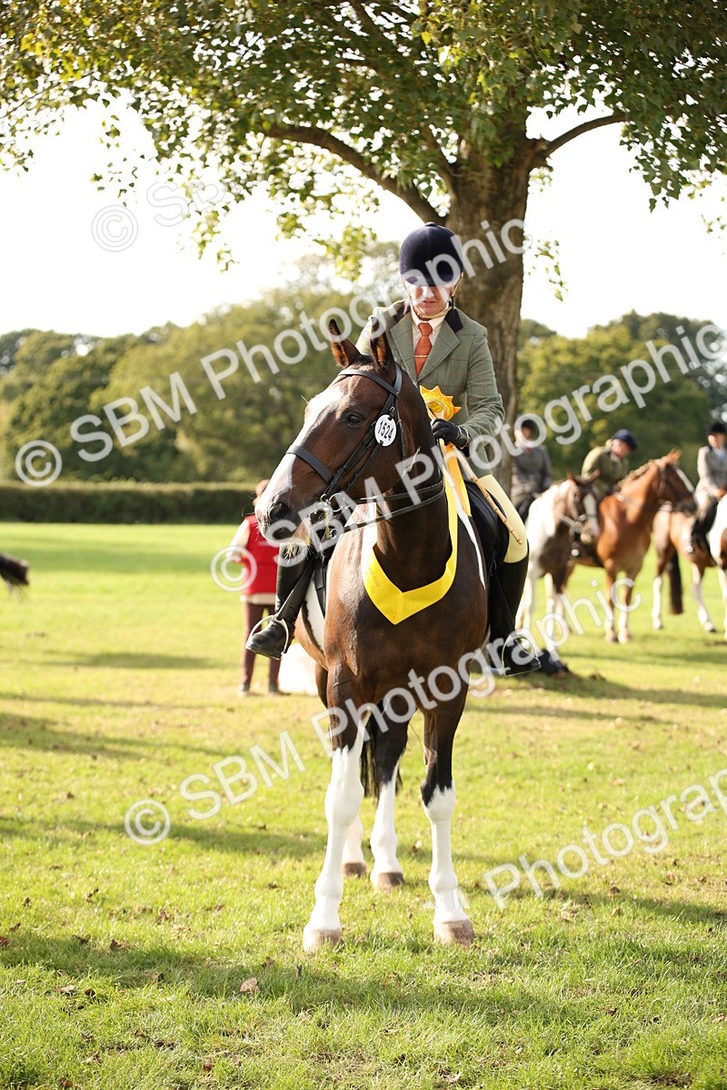 SBM_50242 - S26 - Young Veteran - Ridden