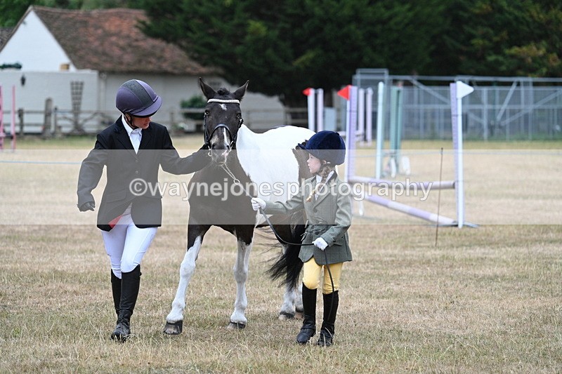 WJ7_9568 - Class 5 Most Handsome Gelding (up to 14.2hh)