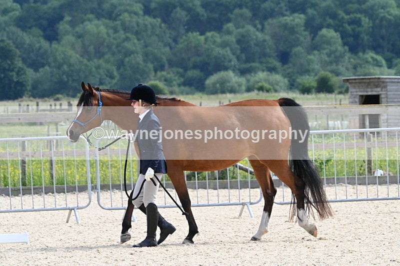 WJ7_8184 - Time 16:10 to 16:25