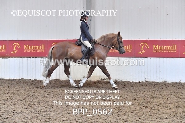 BPP_0562 - RING 2