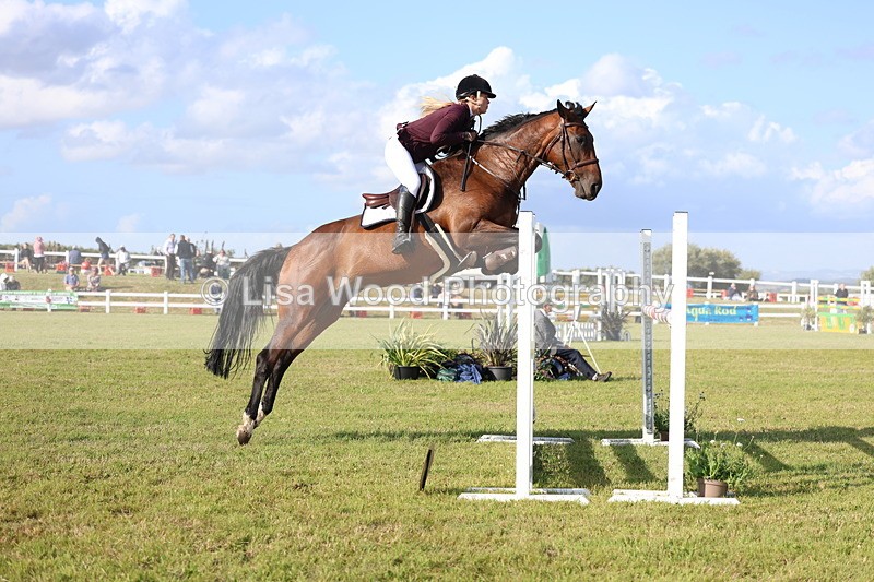 3E7A4438 - Class C: Showjumping Senior Foxhunter