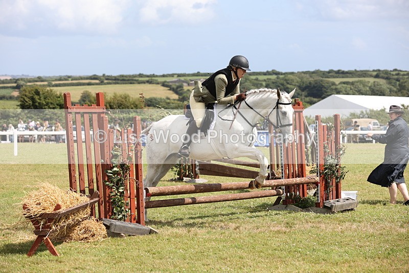 JPP_2088 - Class 19: Working Hunter 60cm