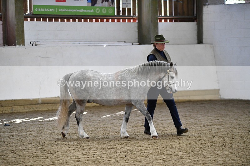 WJ5_5399 - Class 4 In hand M&M - small breeds