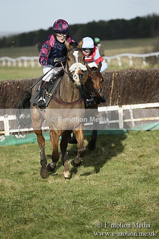 PtP 070118 -271 - Larkhill Racing Club Point to Point Larkhill 07/01/2018