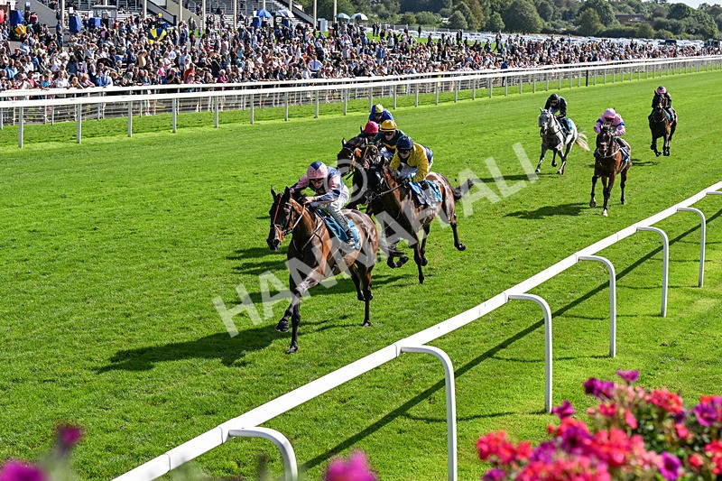 060926-Race 3-Moon Chime-0206 - Race 3 2.40pm Hanson Springs Stayers Handicap