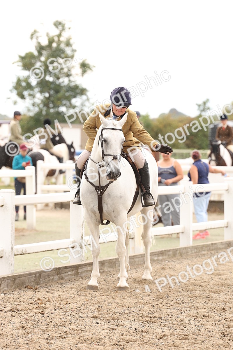 SBM_06782 - Class 58a -  Style & Performance - 70cm (15-19)