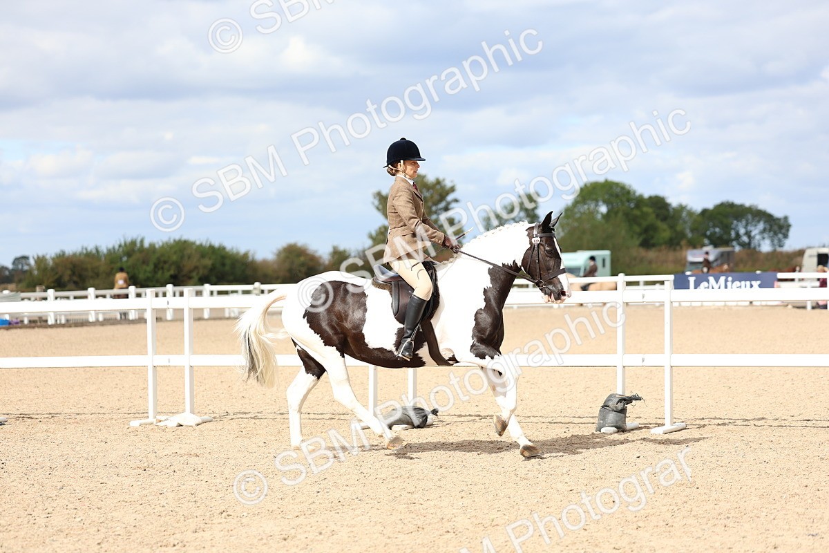 SBM_15784 - Class 314 - Family Horse - Pony