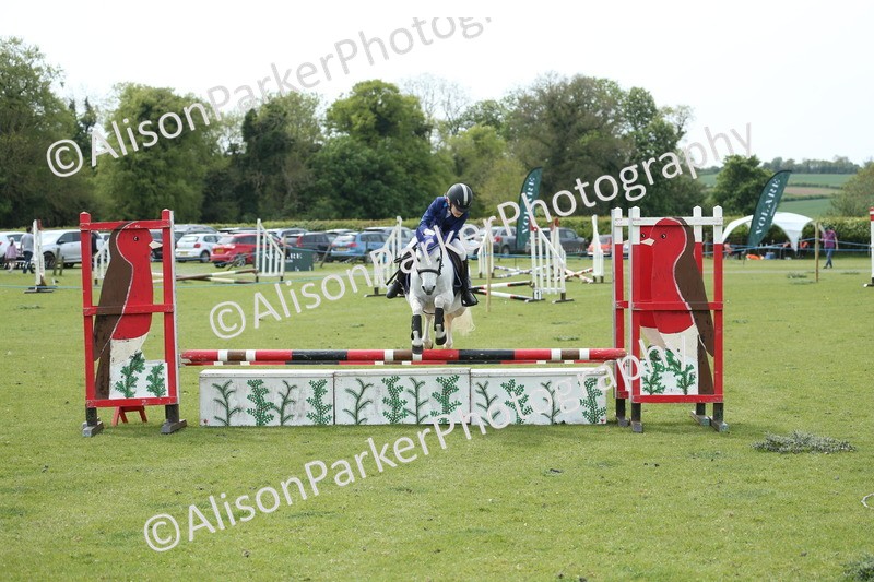 20260426-2116 - Class 15 - Absolute Novice 70cm