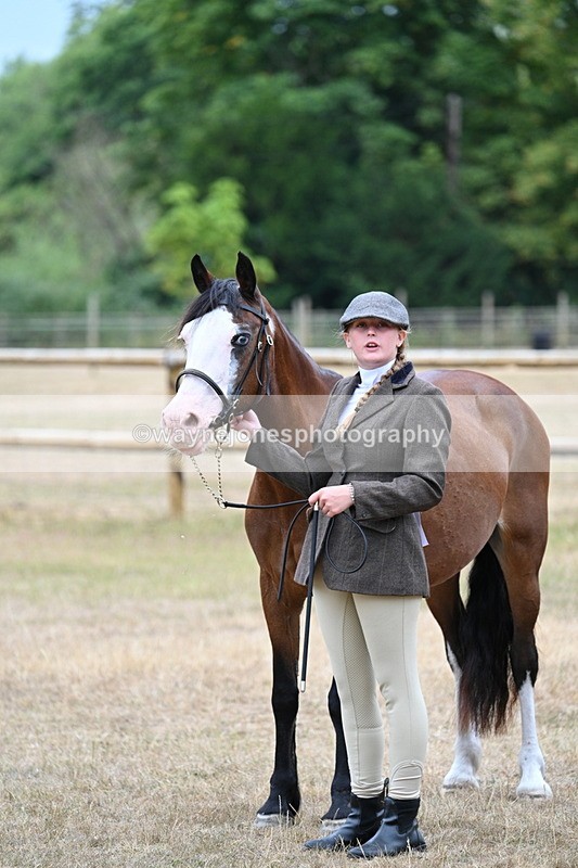 WJ7_8112 - Class 4 Prettiest Mare up to 14.2hh