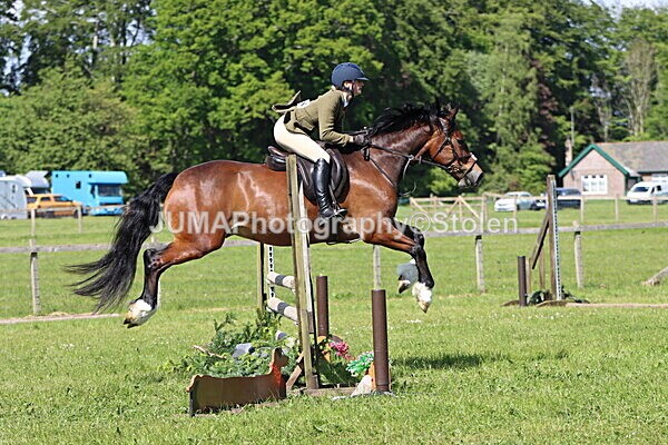 IMG_4718 - Working Hunter