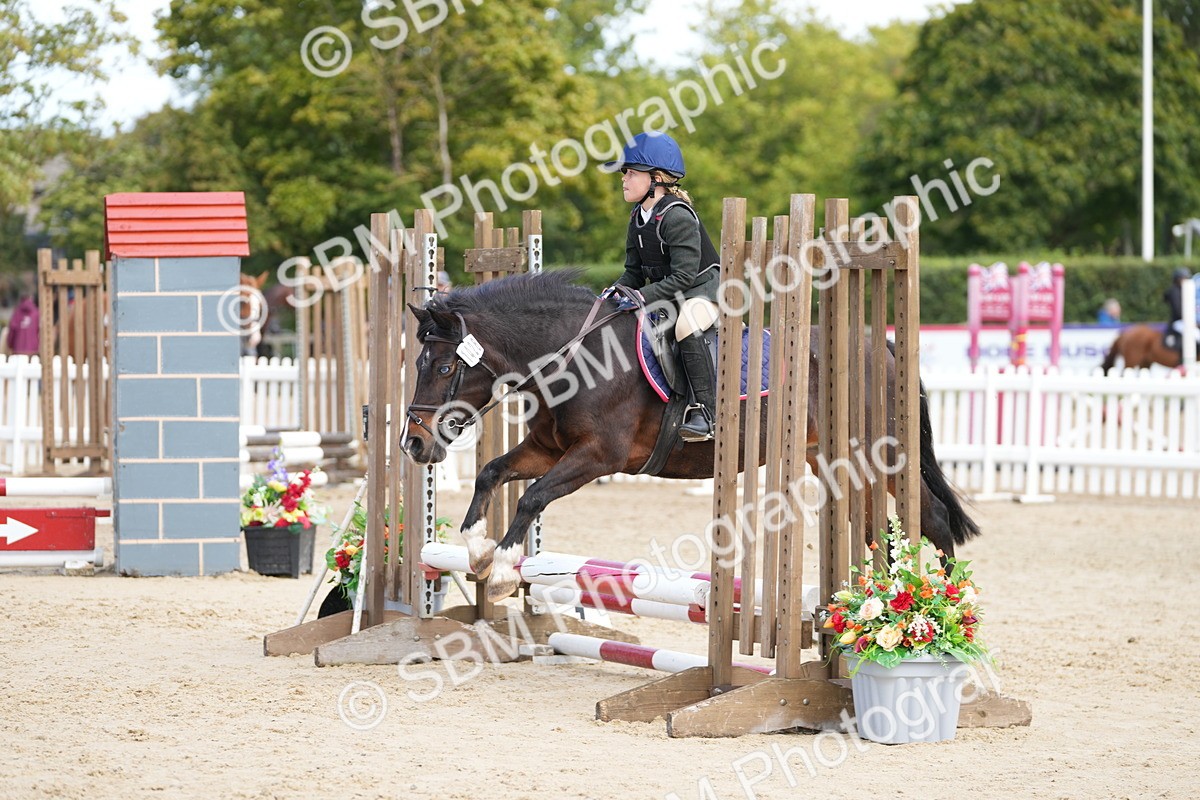 SBM_21326 - J49 - Open 50cm