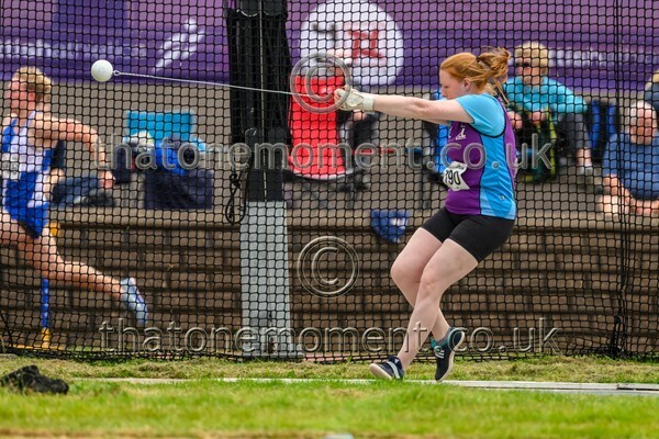 Sen25SAT-924634 - Field Female Set Two