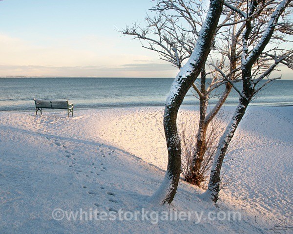 Links - January - Nairn, Scottish Highlands - Zero Miles