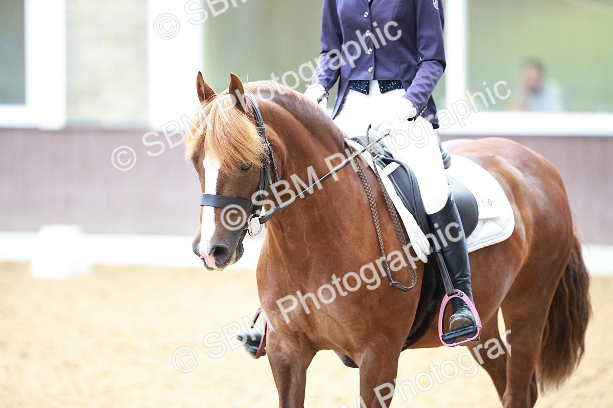 SBM_010888 - Prelim 5 - 11.38-12.48