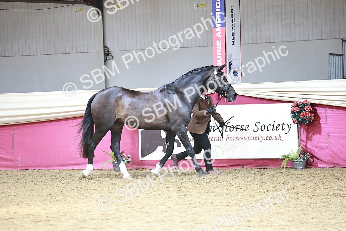 SBM_04682 - Class 7R - Regional IH Diamond