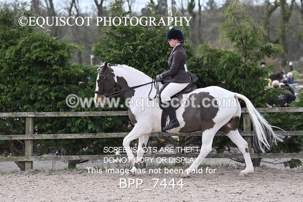 BPP_7444 - RING 1  (RIDDEN HORSES / IN HAND / VETERAN ETC)