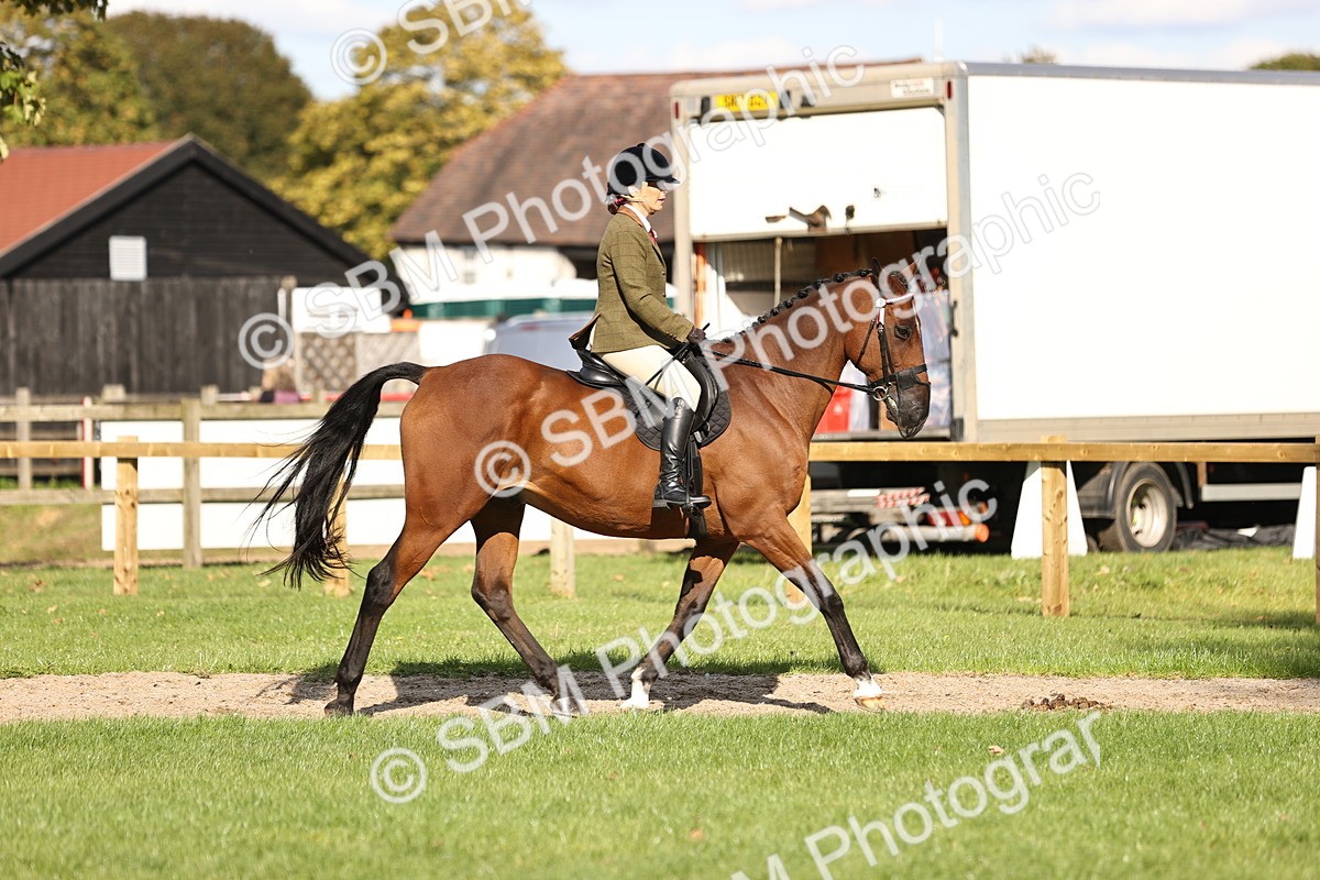 SBM_26322 - S6 - Novice & Newcomers Ridden Horse