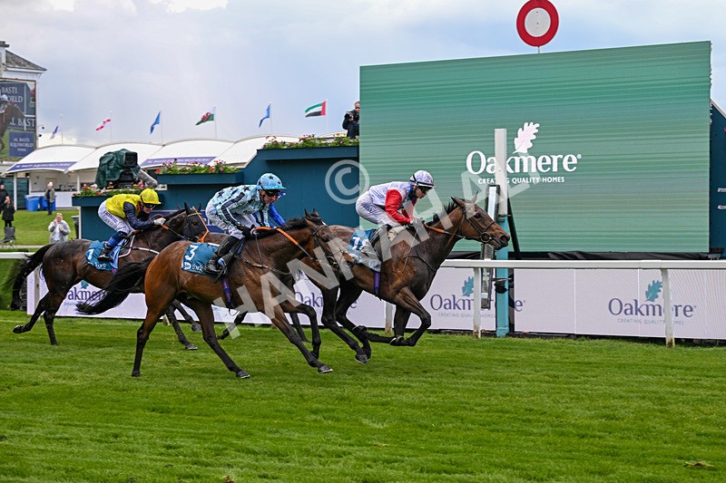 140526-Race 3-Maybe Not-4910 - Race 3 2.55pm Oakmere Homes Hambleton Handicap