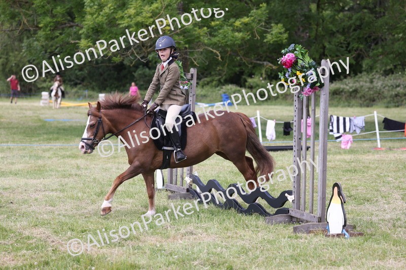 20260614-2086 - Class 21 - Novice Working Hunter Pony