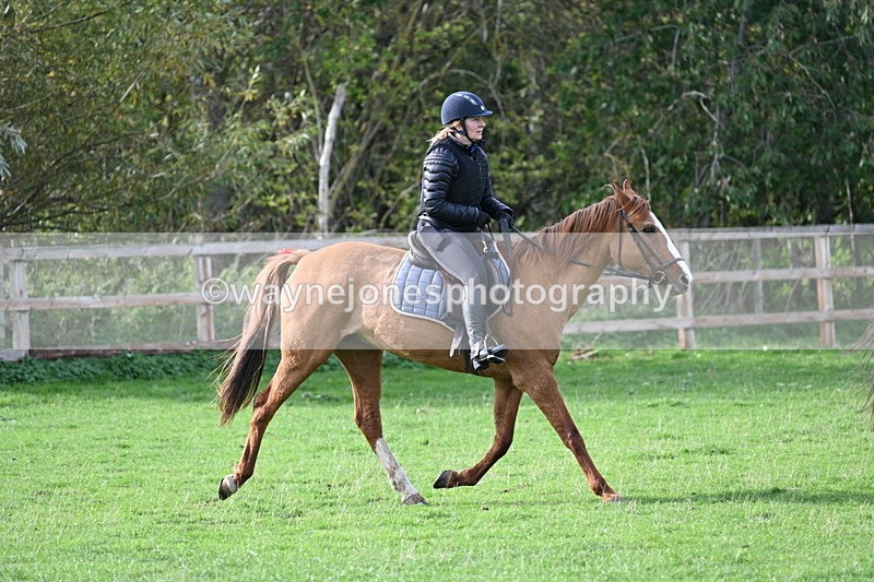 WJ7_1111 - Time 14:27 to 15:11