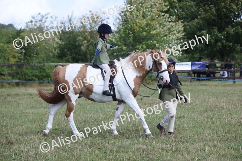 20250831-2459 - Class 16 - Family Pony