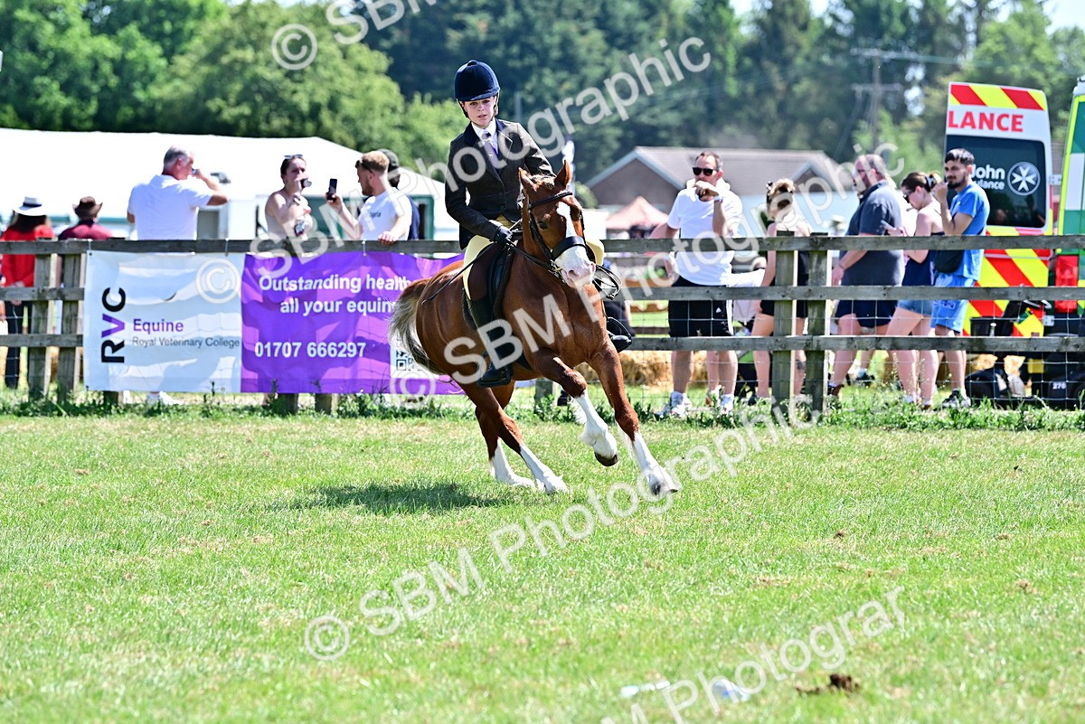 SBM_15405 - Class 95-97 - BSPS LHS Performance Ponies