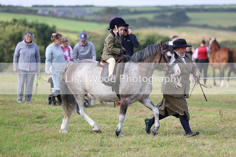 3E7A3377 - Class 2: Lead rein