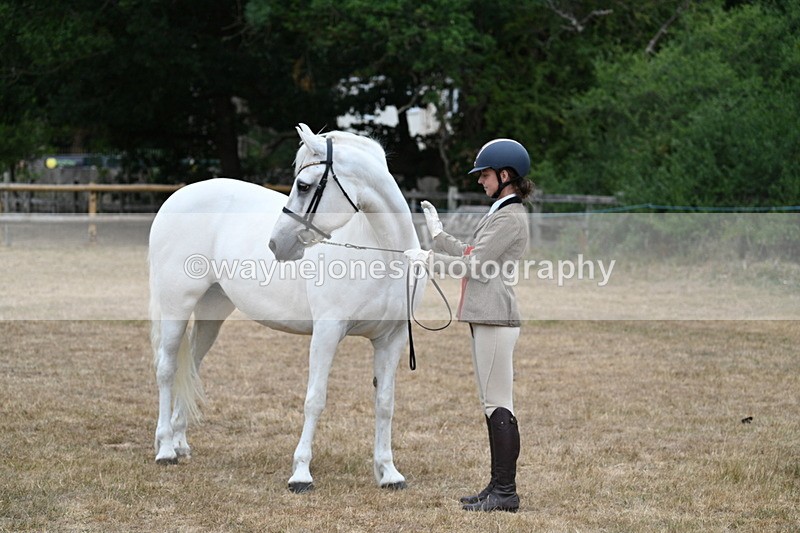 WJ7_9340 - Prettiest Mare Champs