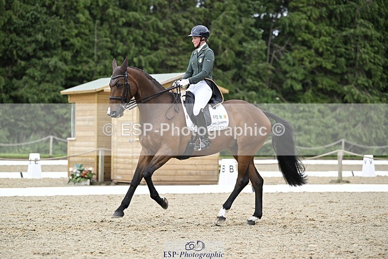 000101-212320-04287 - 412-WELLFIELDS_LINCOLN-Susie_Berry