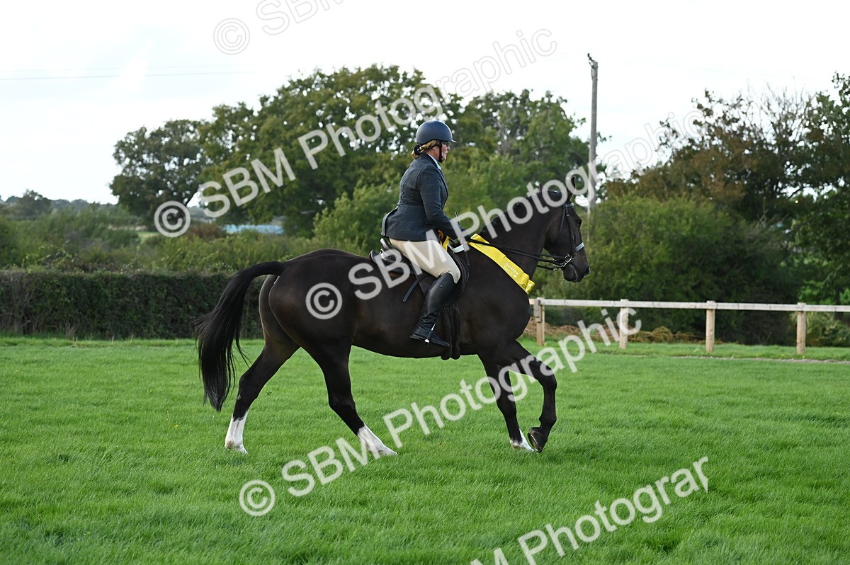 SBM_26502 - S6 - Novice & newcomer Ridden horse