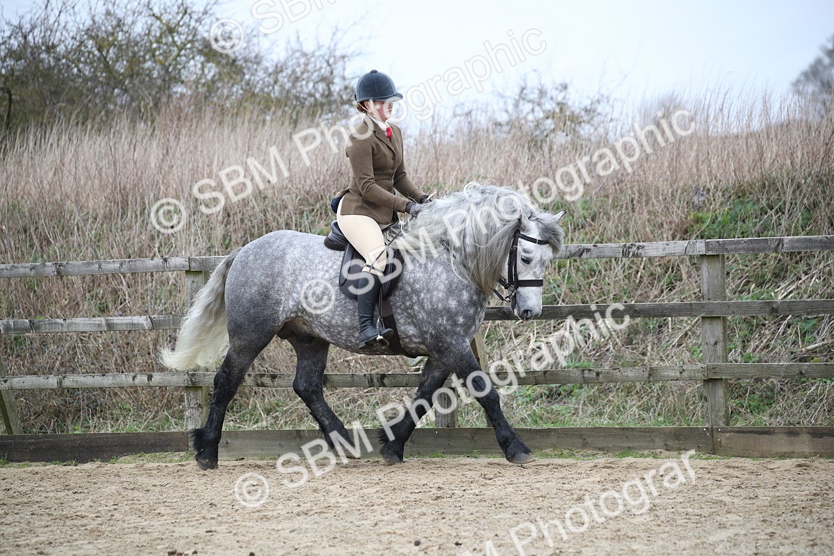 SBM_006316 - Class 10-13 - RIHS Small Large Breeds