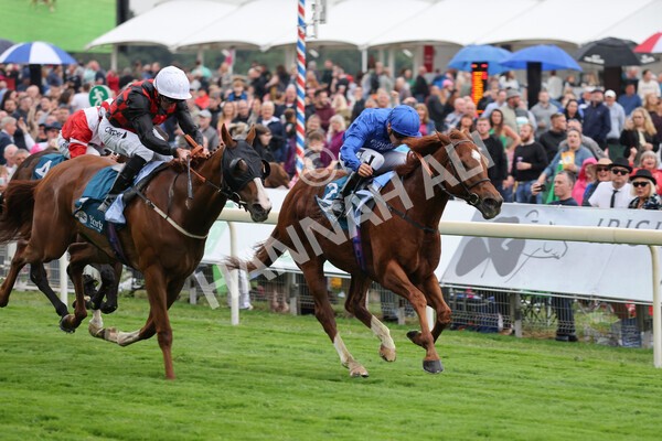 yr22072022r2-25 - Race 2 5.50pm eventmasters.co.uk Stakes