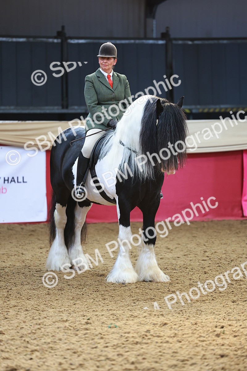 SBM_09847 - Class 102 - HOYS Veteran Qualifier - Ridden Veteran
