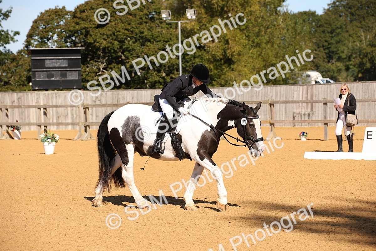 SBM_18473 - D31 - Grand Tour - PYO Open