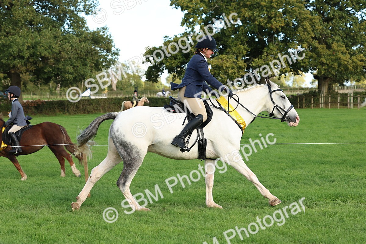 SBM_50210 - S34 - Novice & Newcomers Working Hunter