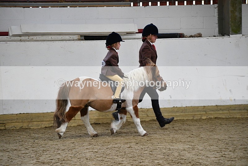 WJ5_6546 - Class 10 Childs Pony