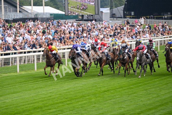 250725-Race 1-Pressures On - Quest For Fun-5320 - Race 1 5.30pm eventmasters.co.uk Handicap
