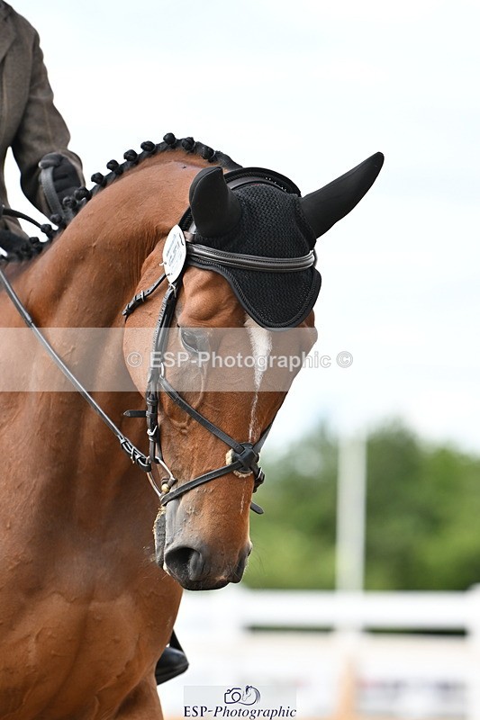 240622A-151549-12099 - Cls 6B+C Novice 30 RoR