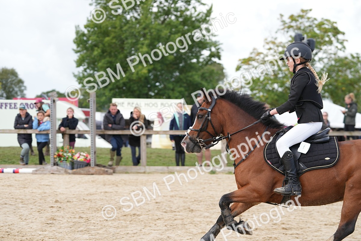 SBM_40866 - Supreme Championship Pony 50-55cm