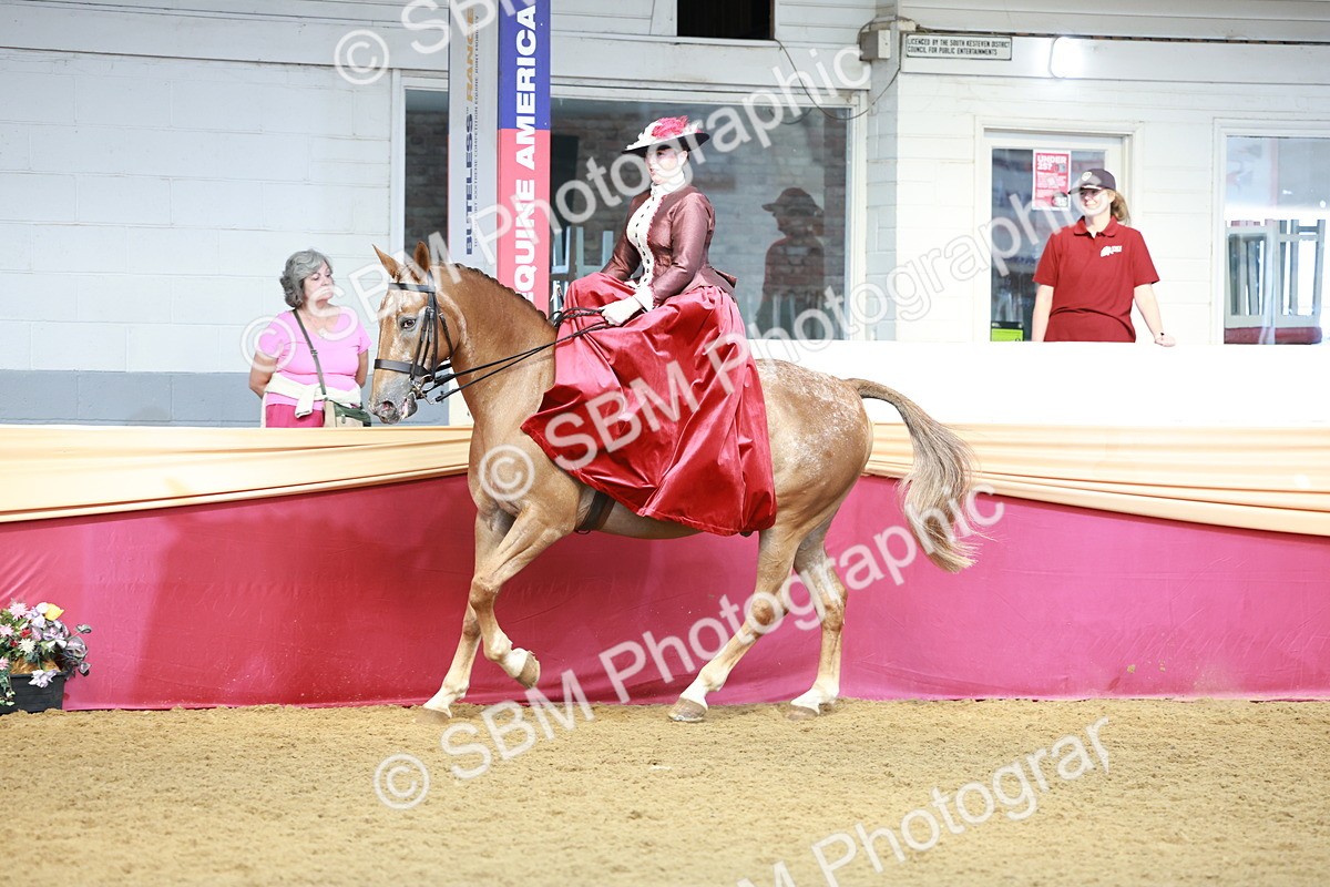 SBM_13571 - Class 105 - Ridden Costume - Side Saddle